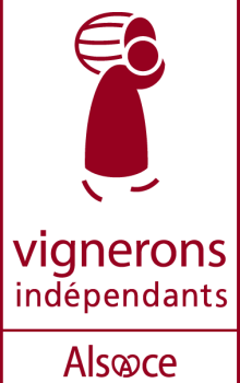 Logo Synvira VI Pluriel Bordeaux PNG